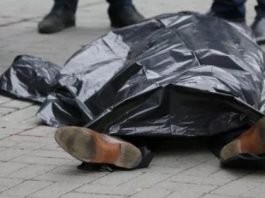 Расчлененное тело мужчины нашли в Кайнар булаке