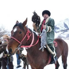 В ЮКО возрождают охотничье искусство В ЮКО возрождают охотничье искусство