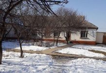 Пятеро детей, которым акимат Шымкента выделил временное жилье, остались круглыми сиротами В этом здании детского сада ютилась семья