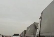 Куда обращаться водителям большегрузов с жалобами на транспортных инспекторов Затор из большегрузов тянется на несколько километров