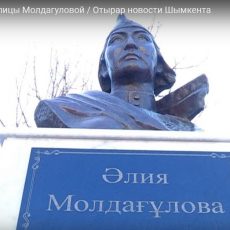 Пенсионерка из Шымкента в одиночку борется с бардаком на улице, названной в честь героини казахского народа Памятник Алие Молдагуловой в Шымкенте
