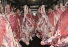 Какие предприятия Шымкента и Туркестанской области могут экспортировать мясо Мясо на базаре
