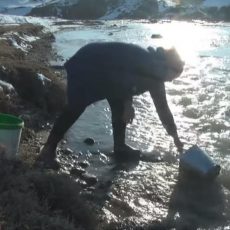 В большом микрорайоне Шымкента нет питьевой воды