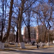 В Шымкенте началось благоустройство Центрального парка