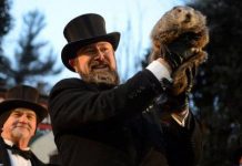 Американский сурок Фил предсказал шесть недель холодов День Сурка