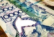 Голубь не переливается: в Нацбанке прокомментировали снимок «поддельной» купюры Голубь не переливается: в Нацбанке прокомментировали снимок "поддельной" купюры