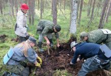 Важно! Поисковики разыскивают родных солдата из Ленгера ЮКО Поисковики в Псковской области
