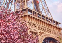 В Шымкенте началась Франкофонная весна-2018 Франкофонная весна в Шымкенте