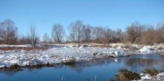 В ЮКО через полтора месяца найдено тело утонувшего в Арыси мальчика Через полтора месяца найдено тело утонувшего в Арыси мальчика