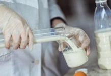 Талгат Баймуринов: Более 70% молочной продукции из России – контрафакт Экспертиза молочной продукции