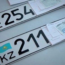 Регистрацию автомобилей и выдачу водительских прав приостановили в спецЦОНах Регистрация автомбилей. Госномера