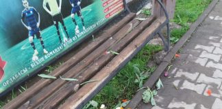 Тюльпановые клумбы в Шымкенте раздражают вандалов Вандалы в Шымкенте вырвали цветы с клумб