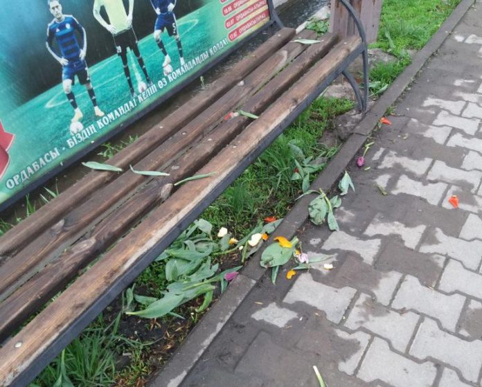 Вандалы в Шымкенте вырвали цветы с клумб