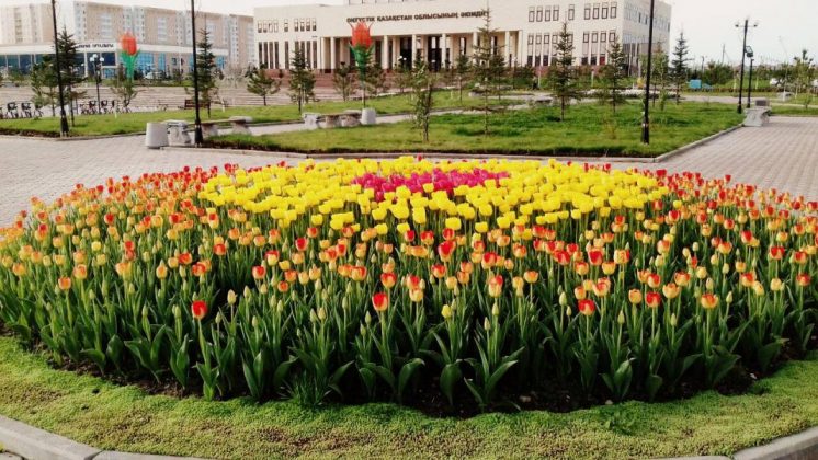 Миллион тюльпанов в Шымкенте