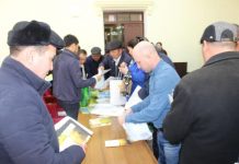 В ЮКО в качестве эксперимента приступили к выращиванию гибридной кукурузы сорта «Ладожский» Семинар по кукурузе