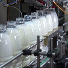 В правительстве поручили проанализировать цены на молочную продукцию Молочная продукция