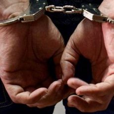 Полиция задержала серийных воров из Шымкента Задержанный в наручниках