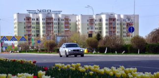 Отопительный сезон завершили в Шымкенте Тюльпаны в Шымкенте