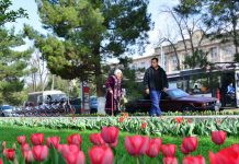 Шымкент стал «миллионником»: Какие изменения могут ожидать регион шымкент-город-миллионник