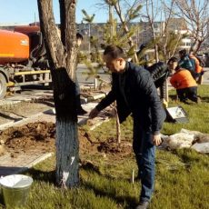 16 363 шымкентца приводили город в порядок на общегородском субботнике Городской субботник прошел в Шымкенте