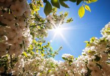 Чем особенно 20 марта и что нельзя делать в этот день