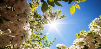 Чем особенно 20 марта и что нельзя делать в этот день