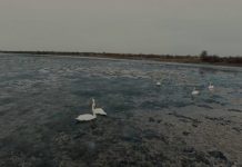 Невероятную красоту показал Сырдарья-Туркестанский природный парк (видео)