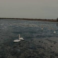 Невероятную красоту показал Сырдарья-Туркестанский природный парк (видео)