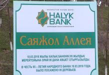 95 берез посадили сотрудники Народного банка к своему юбилею На территории мемориала была создана целая аллея