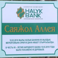 95 берез посадили сотрудники Народного банка к своему юбилею На территории мемориала была создана целая аллея