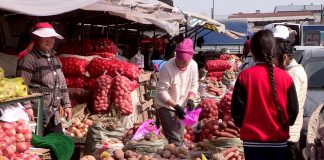 История о том, как в Шымкенте базары сносили (видео) Сельхозпродукция на базарах Шымкента не подорожала