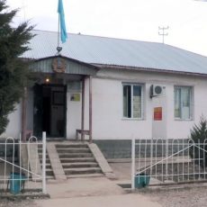Подозреваемых в насилии над ребенком будут защищать общественные защитники Поселок Абай, Сарыагашский район