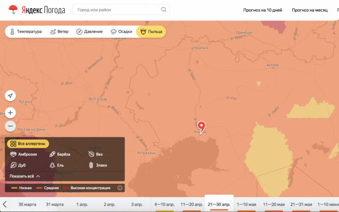 Яндекс представил карту пыльцы для аллергиков в Казахстане