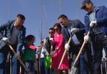 80 тысяч деревьев посадили шымкентцы вместе с акимами