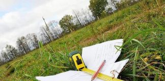 Незаконным выделением земельных участков нанесен ущерб в 700 млн тенге В ЮКО выдают идентификационные документы за земельные участки