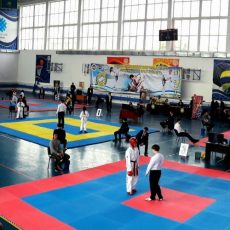 Праздник таэквондо ITF 2018 Праздник таэквондо ITF 2018