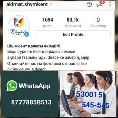 Больше всего шымкентцев волнует вопрос работы общественного транспорта Мессенджер WhatsApp акимата Шымкента