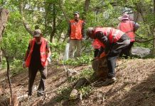 В Енбекшинском районе Шымкента появится парковая зона Субботник в Енбекшинском районе