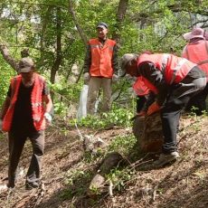 В Енбекшинском районе Шымкента появится парковая зона Субботник в Енбекшинском районе