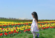 Необычный конкурс объявил акимат Шымкента