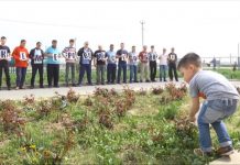 Шымкентские таксисты посадили 64 саженца в память о погибших в Кемерово Шымкентские таксисты посадили 64 саженца в память о погибших в Кемерово