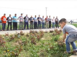 Шымкентские таксисты посадили 64 саженца в память о погибших в Кемерово