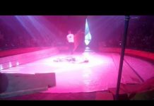 Автомобиль переехал артиста цирка