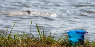 Подросток из Шымкента утонул в Кокшетау после соревнований «Юный спасатель»