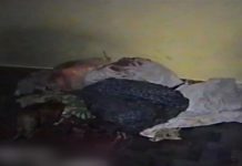 В Шымкенте мужчину приговорили к 15 годам за убийство жены Убийство