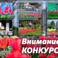 Акимат Шымкента проводит конкурс инновационных проектов селфи с тюльпанами