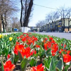 Прогноз погоды на 8 апреля
