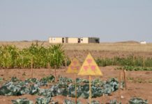 Реабилитационного центра для «чернобыльцев» и «семипалатинцев» до сих пор нет в ЮКО Семипалатинский ядерный полигон