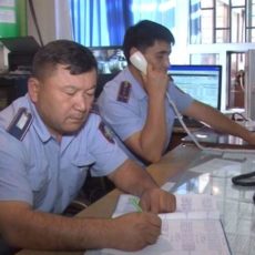 Скот на миллион тенге похитили скотокрады в ЮКО Ордабасинского РОВД