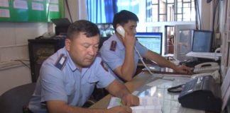 Скот на миллион тенге похитили скотокрады в ЮКО Ордабасинского РОВД